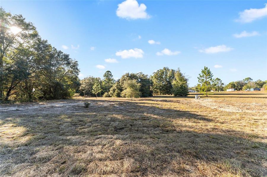 Natural landscape and outdoor views near  in Dunnellon (Image 48).