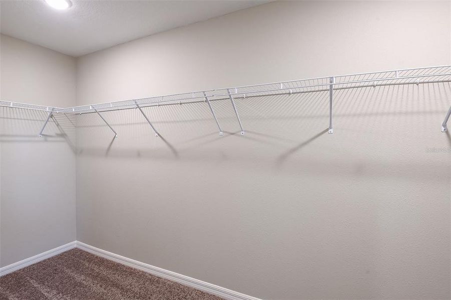 Spacious, unfurnished interior of a new home in Pasadena Ridge, Zephyrhills (Image 12).