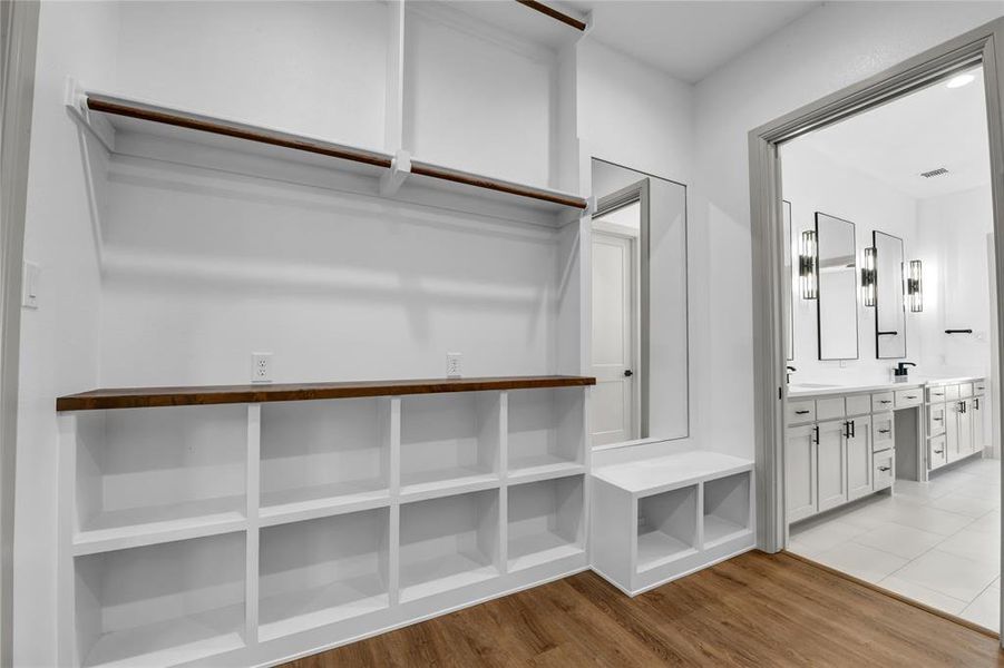 Spacious closet featuring light hardwood / wood-style flooring and sink