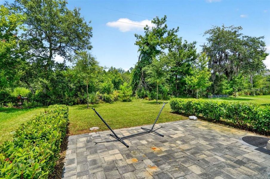 Natural landscape and outdoor views near in Ormond Beach (Image 49). Natural landscape and outdoor views near in Ormond Beach (Image 49).