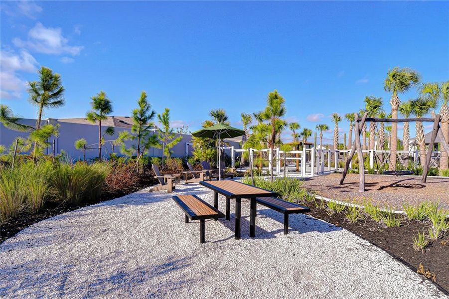 Community amenities in , Zephyrhills (Image 59). Community amenities in , Zephyrhills (Image 59).