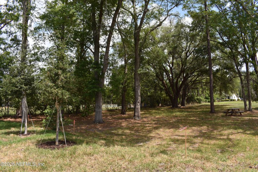 Natural landscape and outdoor views near Irongate Villas in Jacksonville (Image 31).