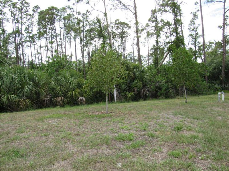Natural landscape and outdoor views near  in North Port (Image 18).