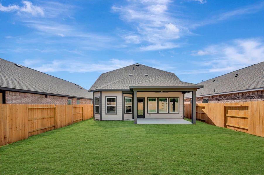 Backyard