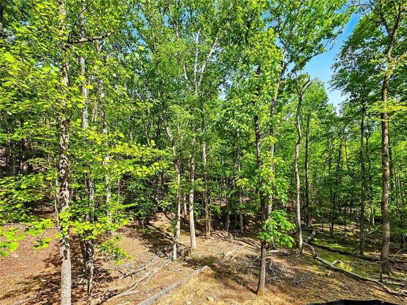 Natural landscape and outdoor views near  in Waleska (Image 31).