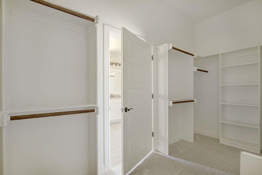 Spacious closet featuring light carpet