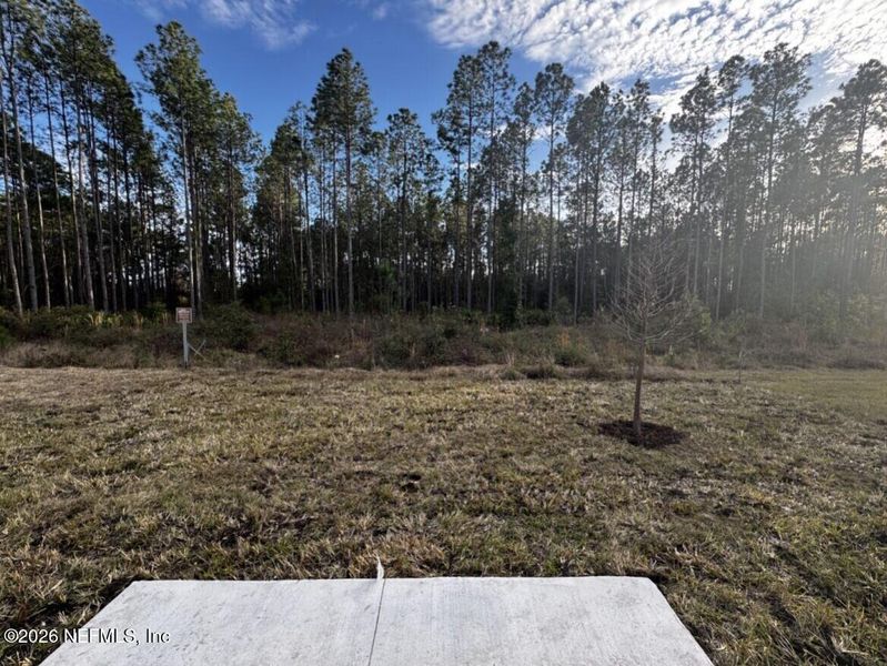 Natural landscape and outdoor views near  in Jacksonville (Image 45).