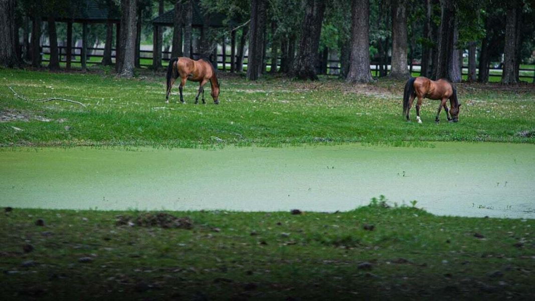 Image 56 of a home in .