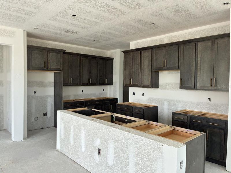 In-progress construction of a new home in Oakfield Trails, Parrish, FL (Image 22).