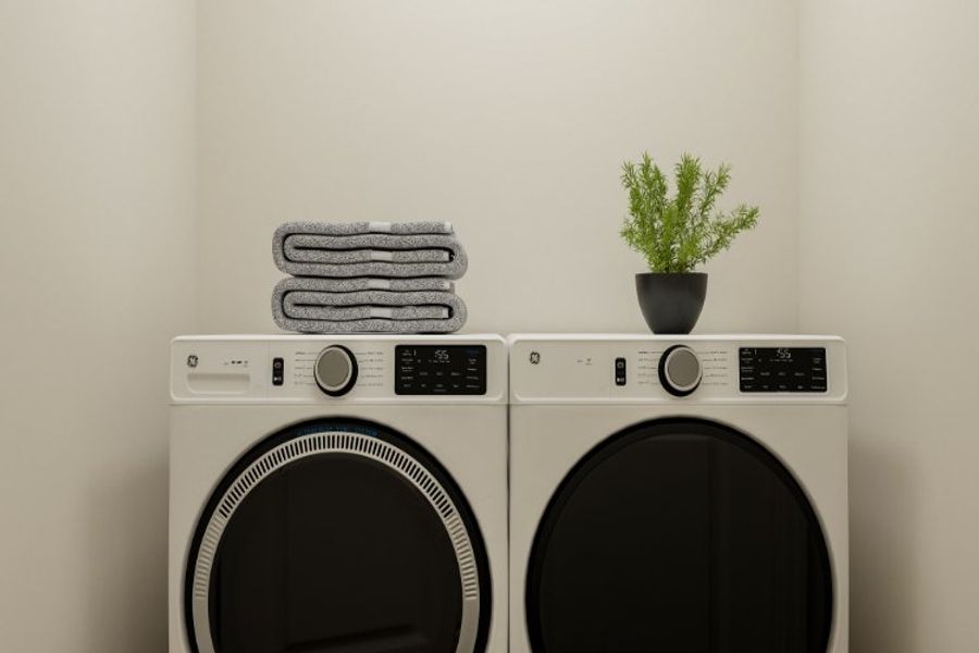A white washing machine and a plant.