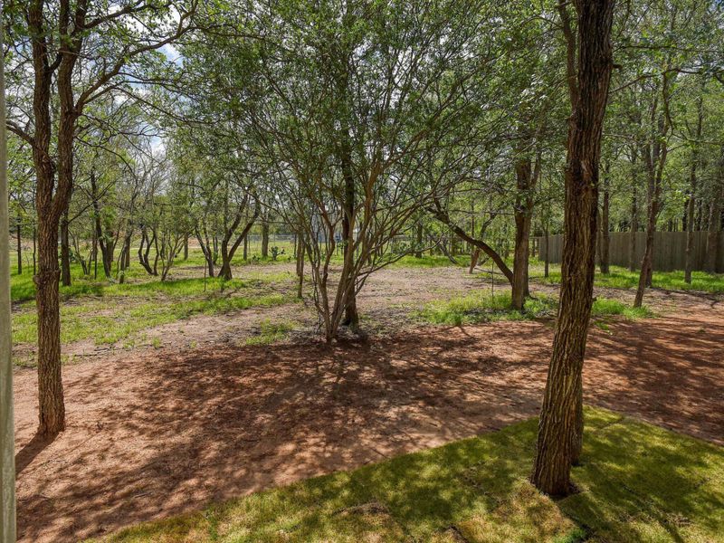 Natural landscape and outdoor views near in Bastrop (Image 33). Natural landscape and outdoor views near in Bastrop (Image 33).
