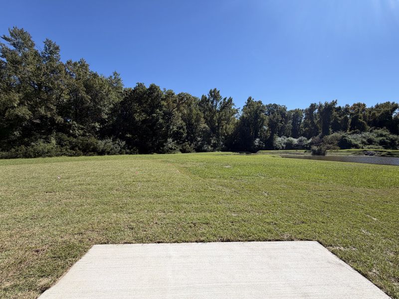 Natural landscape and outdoor views near Waterfall Estates in Whiteville (Image 31).