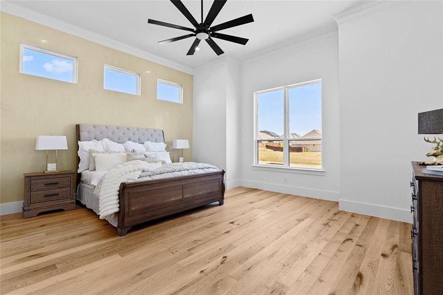 Primary Bedroom featuring ornamental molding, light wood finished floors, and a ceiling fan Primary Bedroom featuring ornamental molding, light wood finished floors, and a ceiling fan