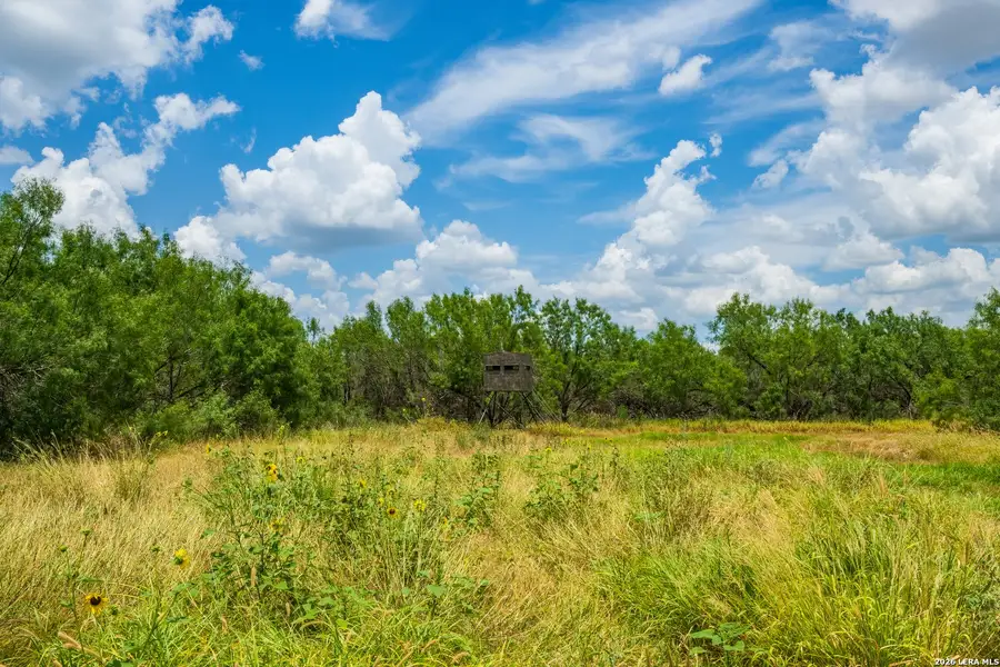 Natural landscape and outdoor views near in Crystal City (Image 4). Natural landscape and outdoor views near in Crystal City (Image 4).