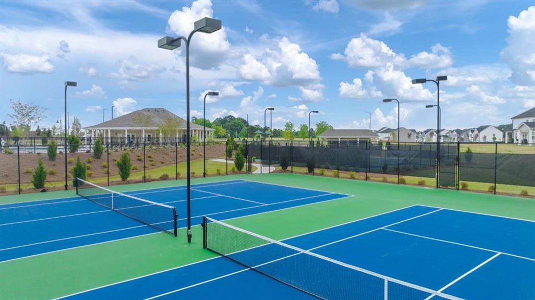 Community amenities in Preserve at Dove Creek, Statham (Image 53).