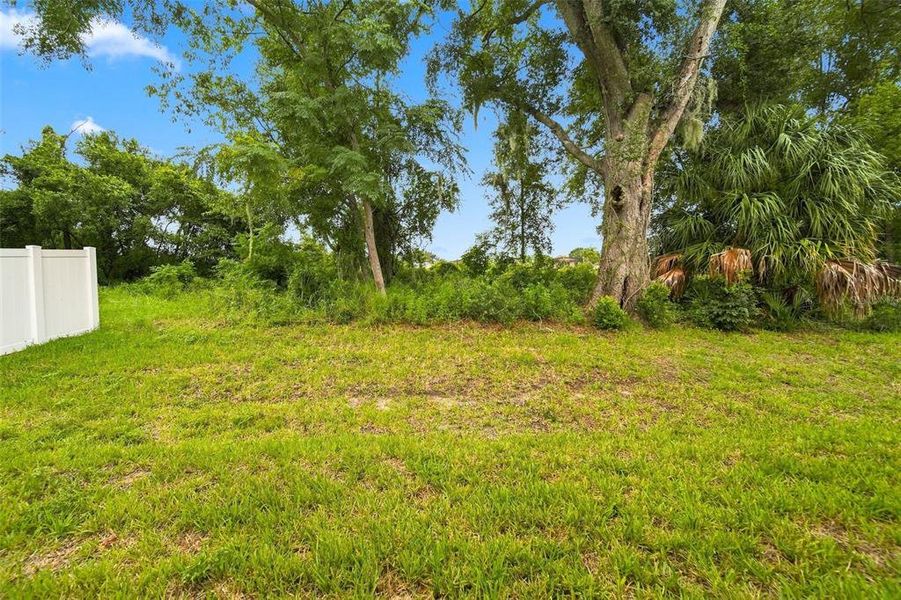 Natural landscape and outdoor views near  in Apopka (Image 38).
