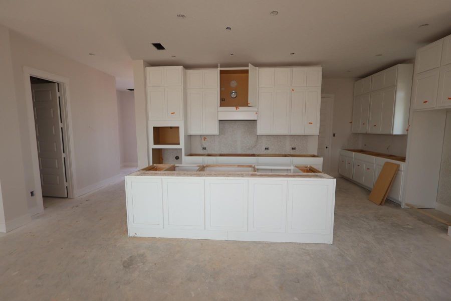 In-progress construction of a new home in Elyson - Grove Row Collection, Katy, TX (Image 5).
