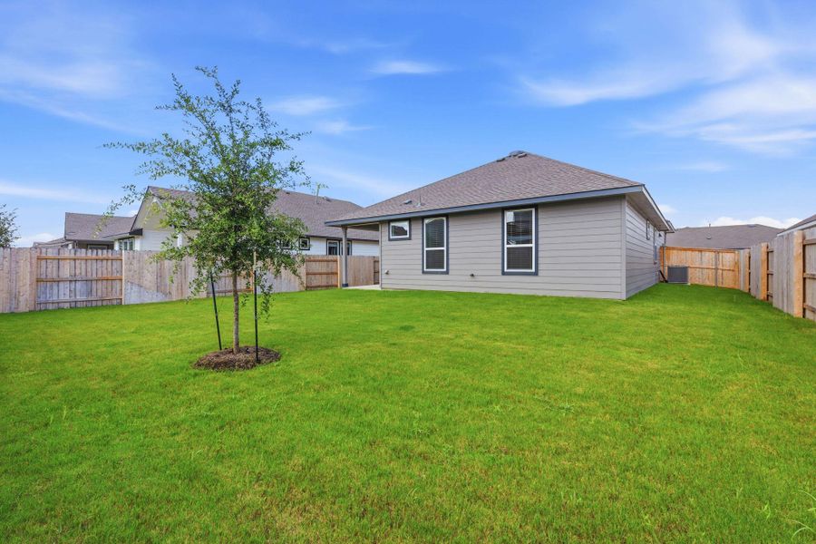 A freshly seeded lawn and charming single-story residence create an inviting backyard retreat.