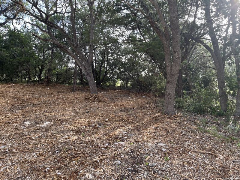 Natural landscape and outdoor views near in Canyon Lake (Image 1). Natural landscape and outdoor views near in Canyon Lake (Image 1).