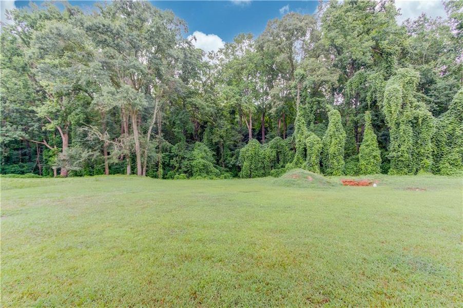 Natural landscape and outdoor views near in Martin (Image 28). Natural landscape and outdoor views near in Martin (Image 28).
