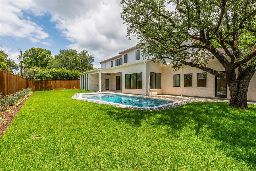 Pool and Yard