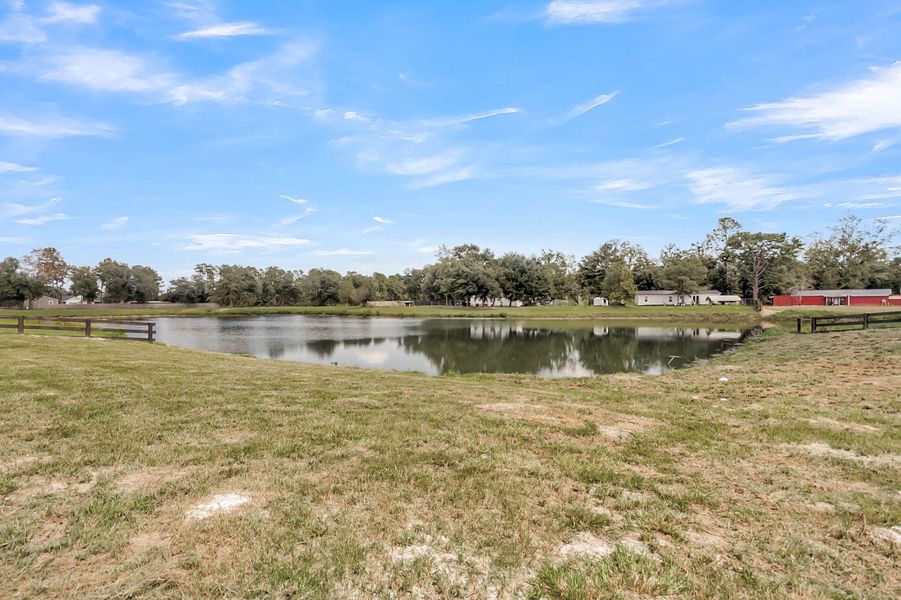 Natural landscape and outdoor views near  in Dorchester (Image 57).