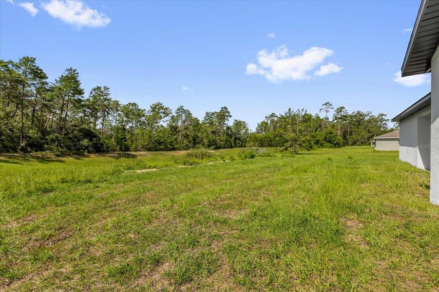 Natural landscape and outdoor views near  in Ocala (Image 32).