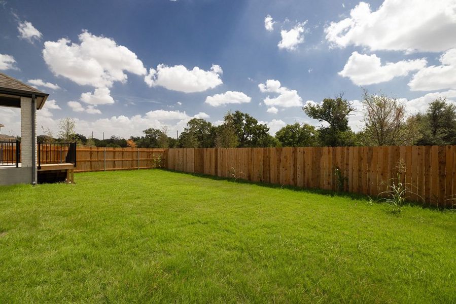 Backyard Backyard