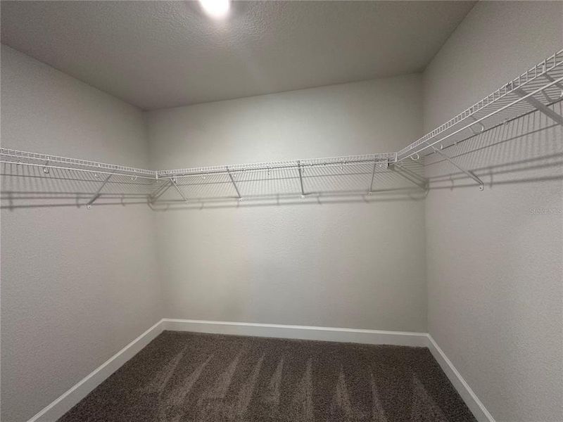 Spacious, unfurnished interior of a new home in Densan Park, Oxford (Image 11).