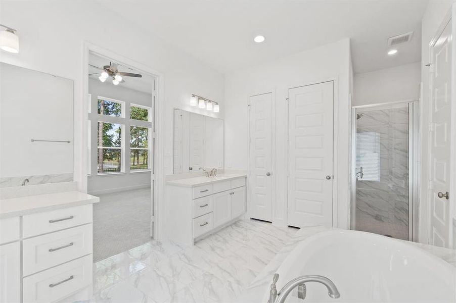 principal bathroom with shower, jet tub and 2 closets