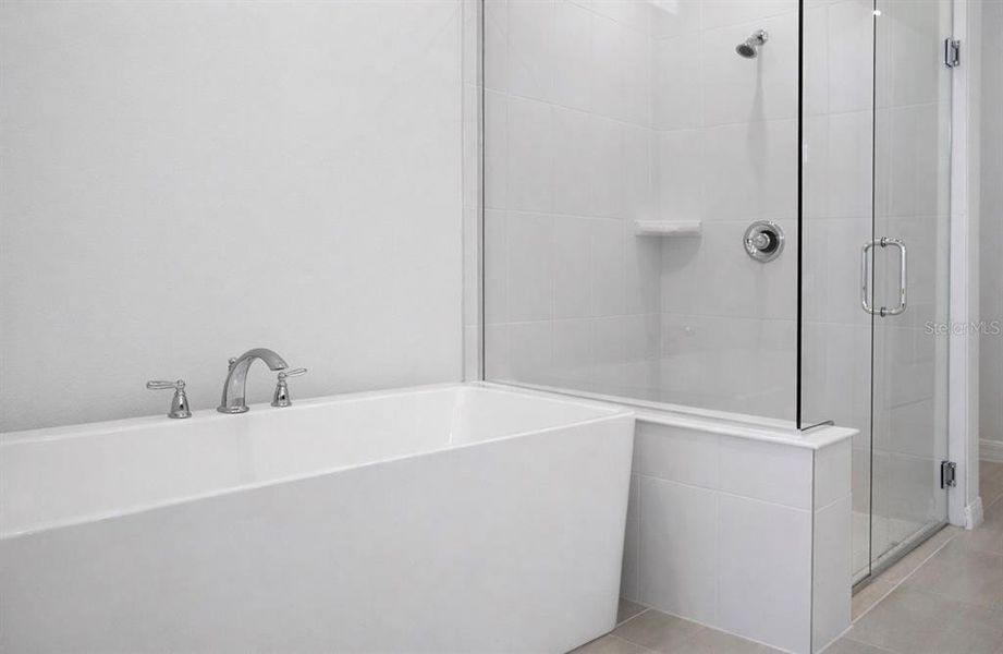 Furnished interior view inside a new home in , Clermont (Image 3).