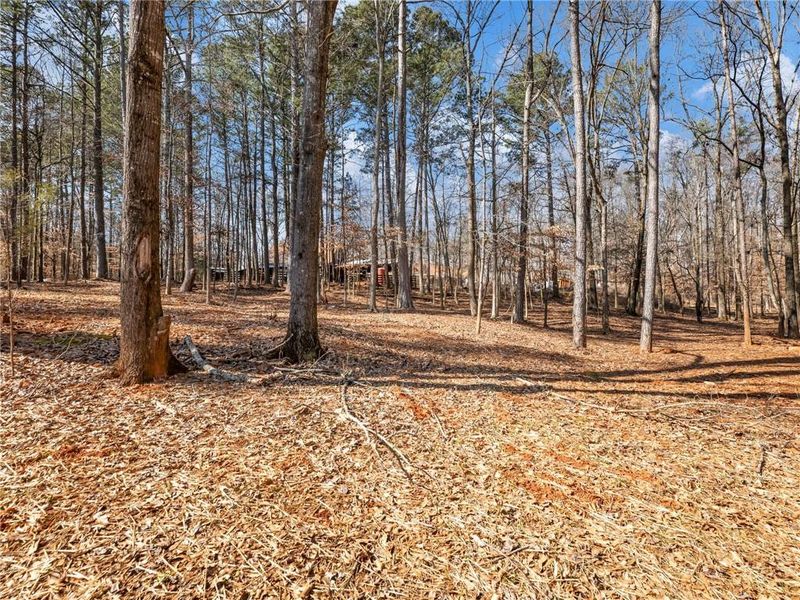 Natural landscape and outdoor views near  in Winder (Image 54).