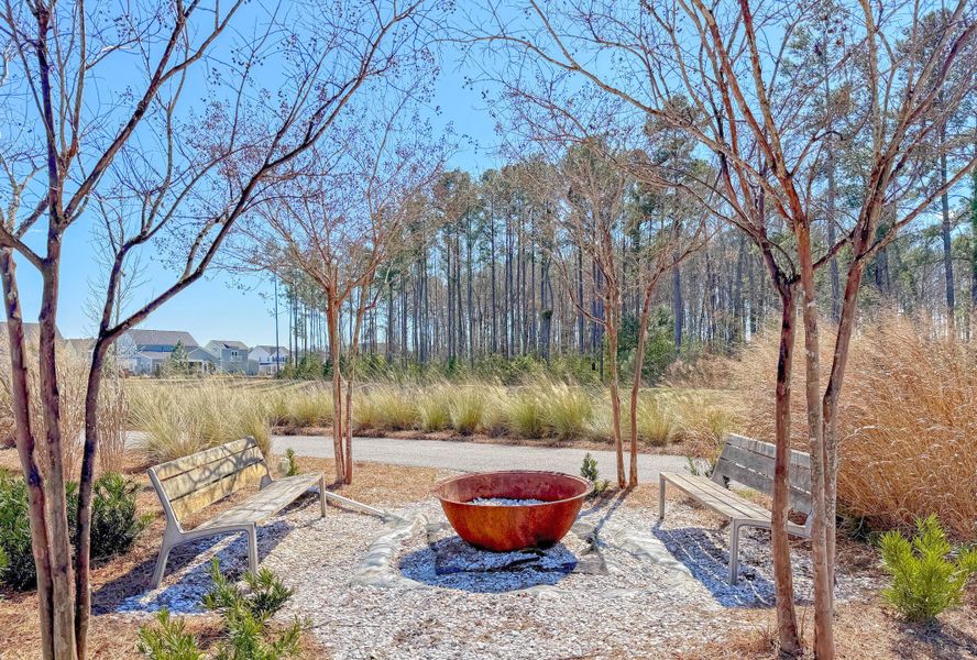 Community amenities in Midtown at Nexton, Summerville (Image 48).