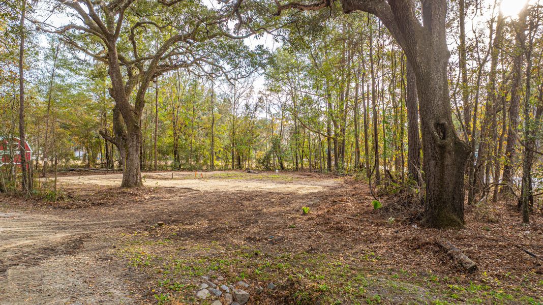 Natural landscape and outdoor views near in Adams Run (Image 10). Natural landscape and outdoor views near in Adams Run (Image 10).