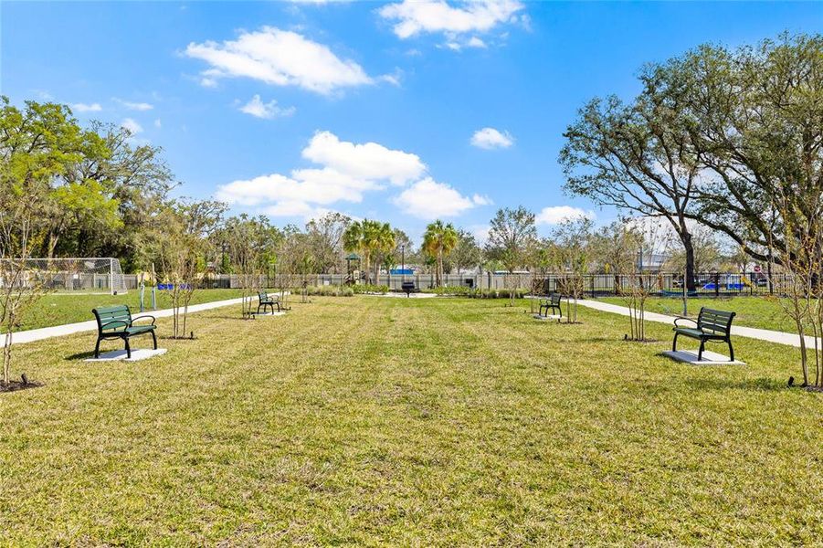 Community amenities in Vivir, Valrico (Image 20).