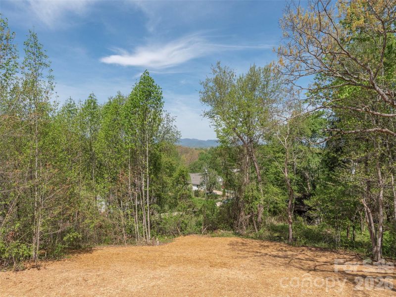 Natural landscape and outdoor views near  in Leicester (Image 22).