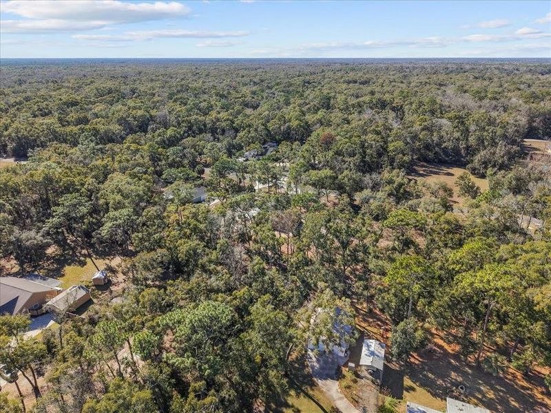 Natural landscape and outdoor views near  in Chiefland (Image 56).