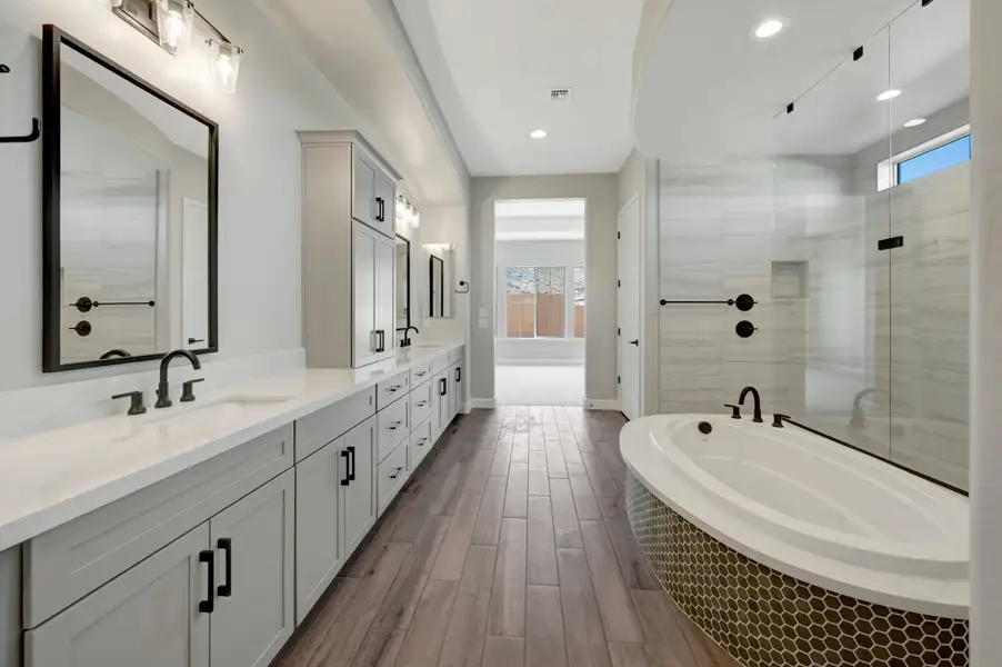 Owner's Bath