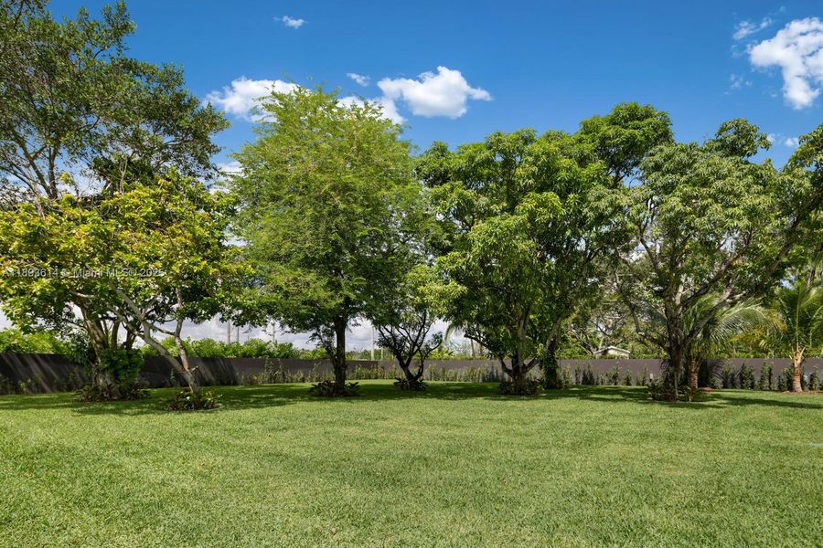 Natural landscape and outdoor views near  in Miami (Image 47).