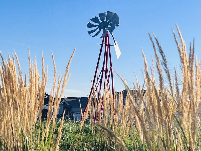 Image 33 of a home in Settlers Crossing. Image 33 of a home in Settlers Crossing.