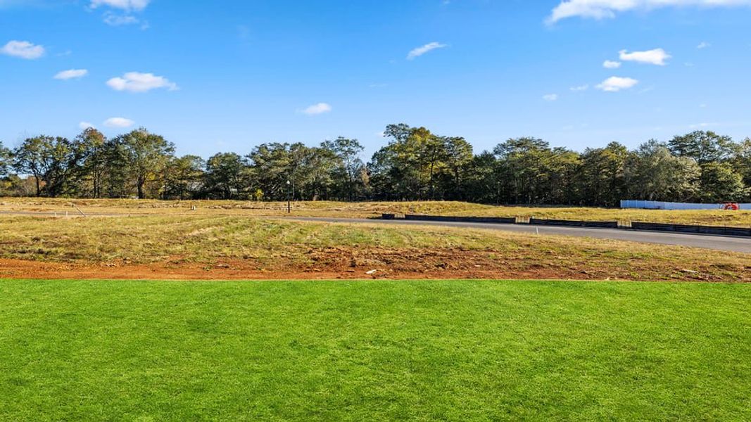 Natural landscape and outdoor views near Sherwood Gardens in Landrum (Image 39).