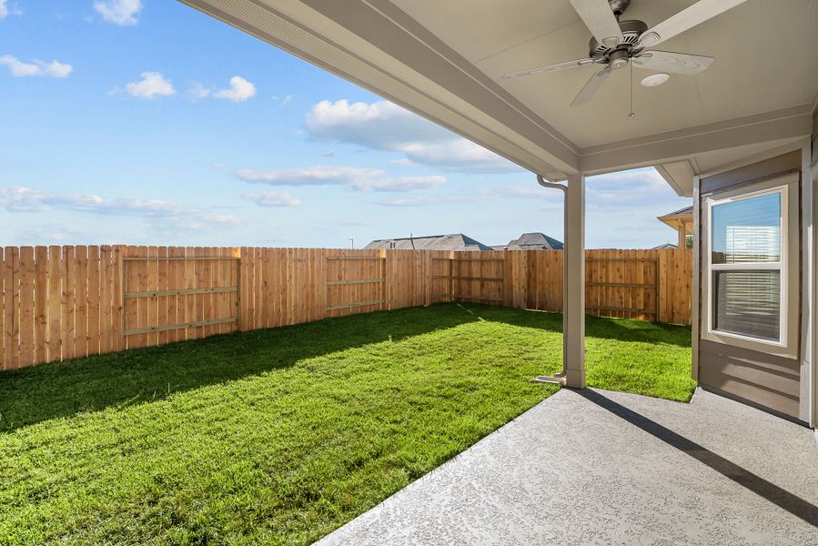 Backyard Backyard