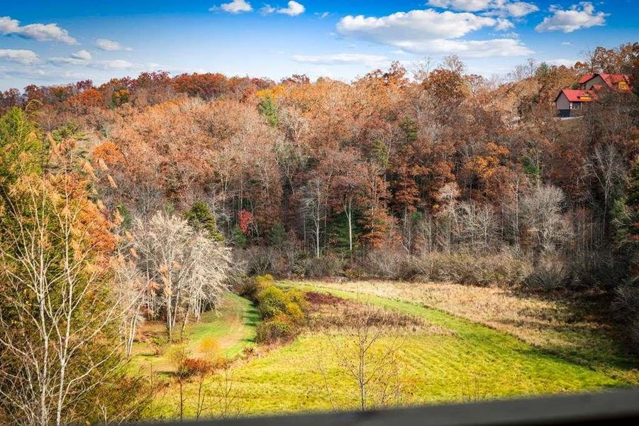 Natural landscape and outdoor views near  in Mineral Bluff (Image 66).