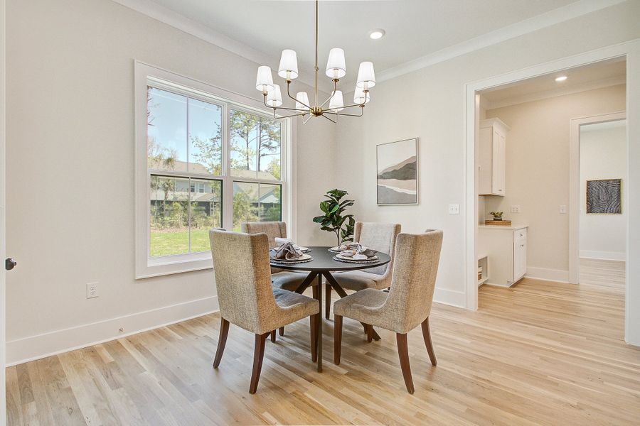 Furnished interior view inside a new home in , Mount Pleasant (Image 16).