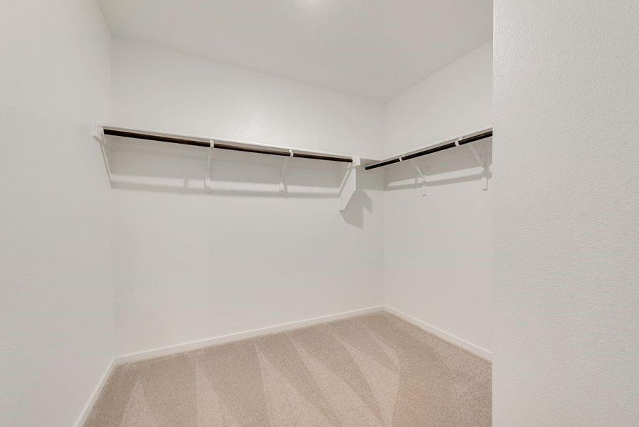 Spacious closet with carpet flooring