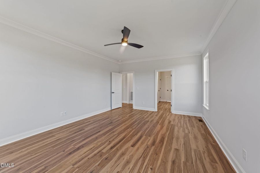 35-web-or-mls-VB4A3703