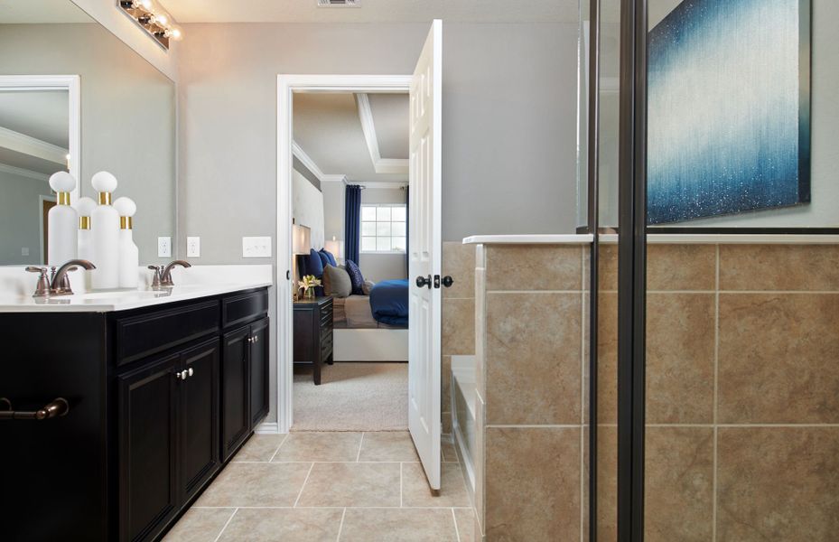 Owner's Bath with Tub/Shower Combo