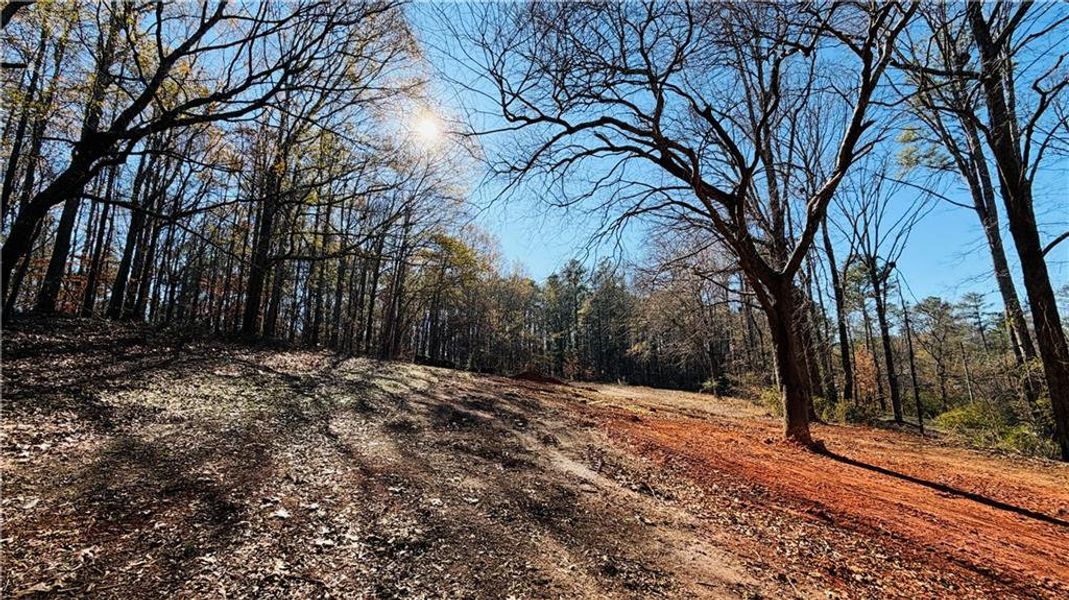Natural landscape and outdoor views near  in Hiram (Image 46).