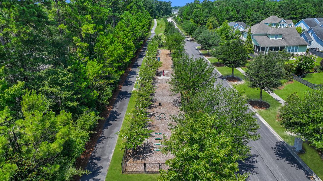 Natural landscape and outdoor views near Carnes Crossroads in Summerville (Image 36).