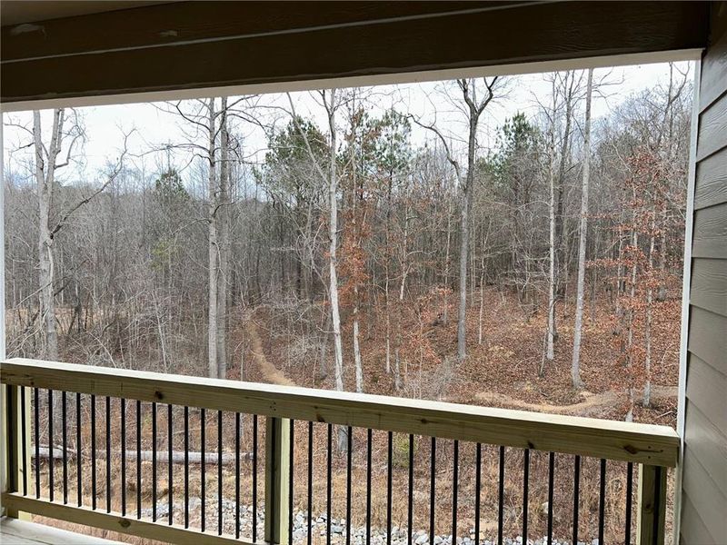 Exterior details and patio area of a home in The Reserve At Liberty Park, Braselton (Image 3).